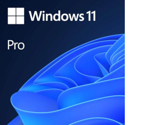 Windows 11 Pro 64-bit OEM vendu uniquement avec un PC neuf