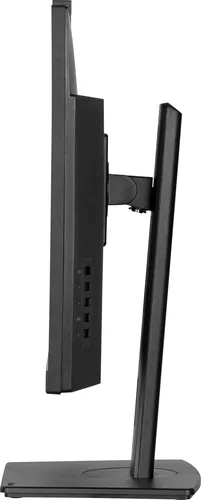 Vue 5