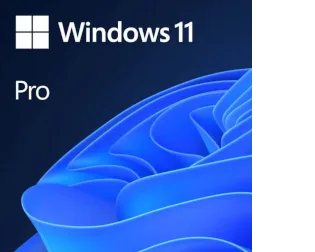 MICROSOFT Windows 11 Pro 64-bit OEM vendu uniquement avec un PC neuf