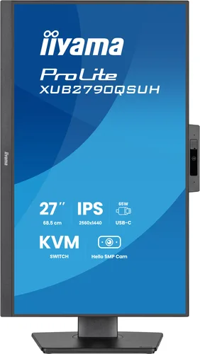 Vue 3