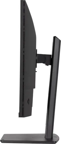 Vue 5